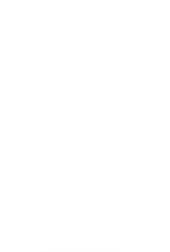 Coffin